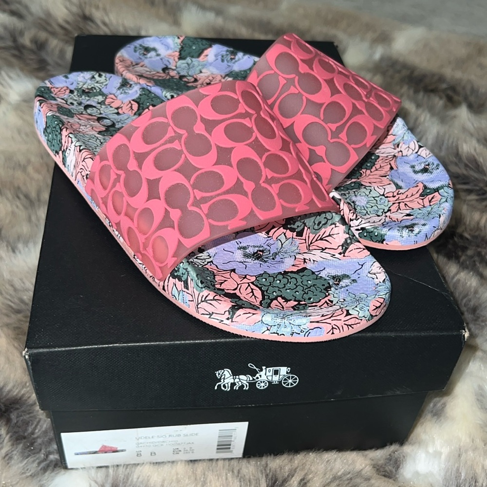 Coach slides